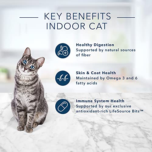 Blue for Cat Indoor Health Receta de Pollo y Arroz Integral para Gatos Adultos