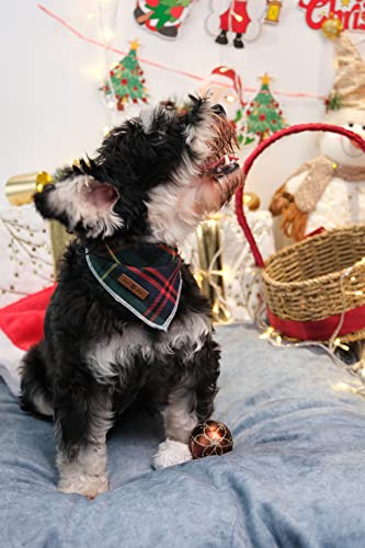 Lionet Paws Bandana de Navidad para perro, lavable, de algodón, pañuelo, triángulo, verde, para perros pequeños, medianos y grandes, regalo para niñas y niños