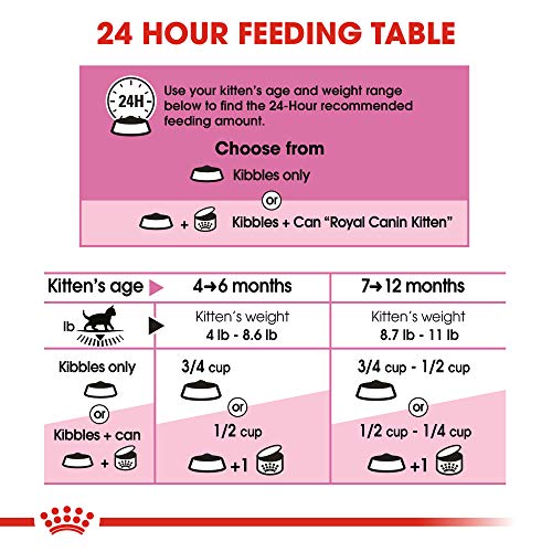 ROYAL CANIN FELINE HEALTH NUTRITION Kitten dry cat food, 3.5-Pound (El empaque puede variar)