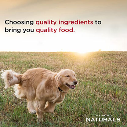 Diamond Pet Foods - Alimento seco 8+35 Naturals para perros mayores de 8 años, fórmula de pollo, huevo y avena, bolsa de 35 libras
