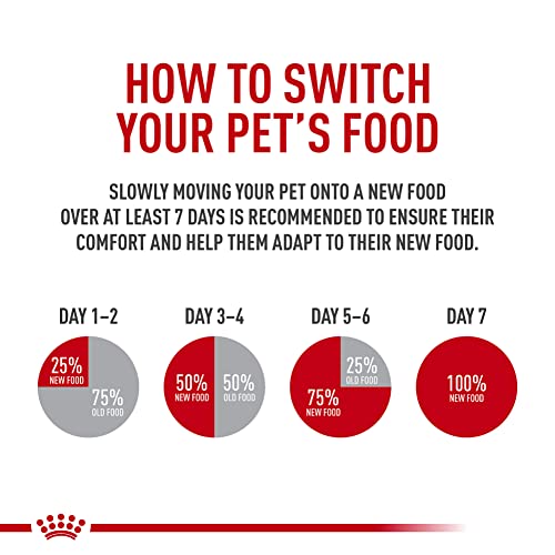 Royal Canin Feline Health Nutrition comida seca para gatos, para interior intenso, 6 libras