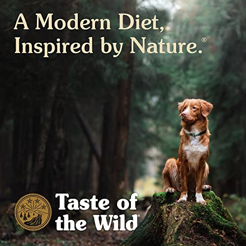Taste Of The Wild - Alimento seco para perros Pacific Stream Puppy Premium, sin cereales, rico en proteínas