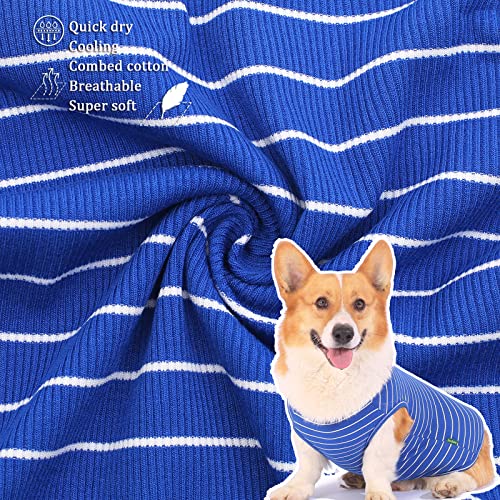 SyChien Sychein - Camisa de algodón peinado para perro, secado rápido, para cachorros pequeños, rayas azules y rosadas, talla S