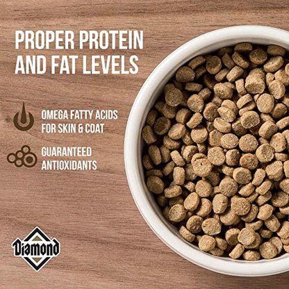 Diamond Pet Foods - Alimento seco para gatos adultos con sabor a pollo de Maintenance Formula, bolsa de 40 libras