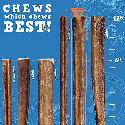 Jack&Pup 12-Inch Premium Grade Odor Free Bully Sticks Dog Treats [Extra-Thick], (3 Pack) - 12" Long All Natural Gourmet Dog Treat Chews - Fresh and Savory Beef Flavor - 30% Longer Lasting