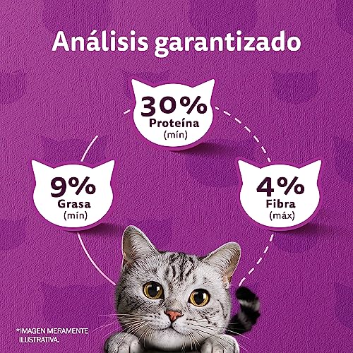 Whiskas - Whiskas Whiskas alimento para Gatos Adultos Sabor Carne Receta Orginal 9Kg Violeta