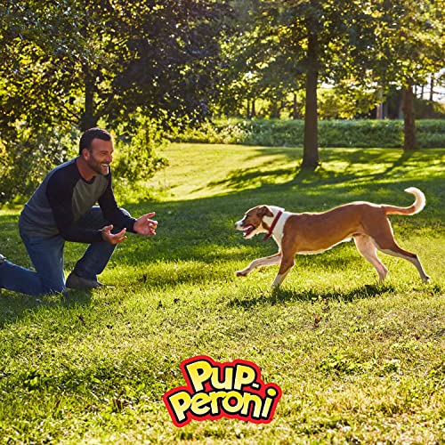 Pup-Peroni - Golosinas para perros con sabor a filete triple, bolsa de 22.5 onzas