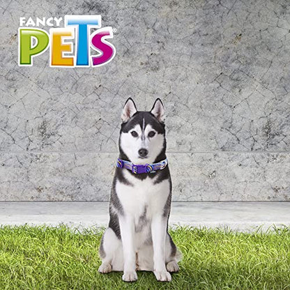 Fancy Pets Collar Galería Aqua Pop Tamaño Grande para Perro