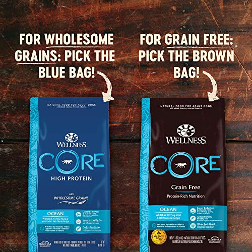 Wellness CORE Natural Grain Free Dry Dog Food, 12-Pound Bag