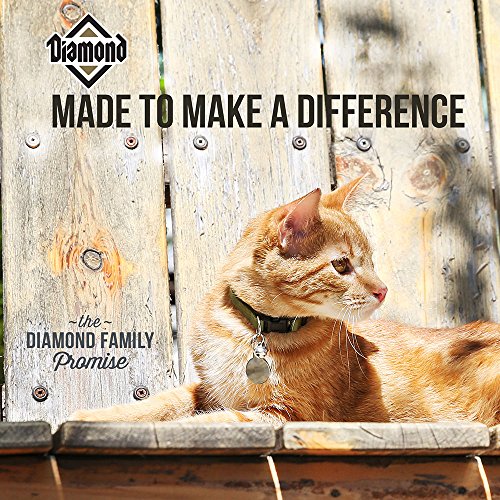 Diamond Pet Foods - Alimento seco para gatos adultos con sabor a pollo de Maintenance Formula, bolsa de 40 libras