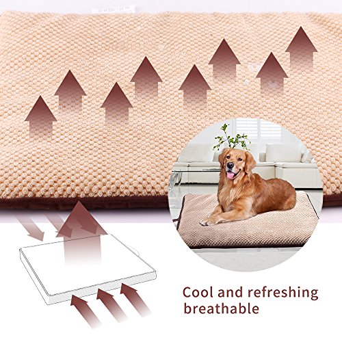 PAWISE Camas para perros pequeños, medianos y grandes, alfombrilla lavable para cama de perro, almohadilla de dormir para mascotas en material de teflón para uso en interiores y exteriores, XL (44 x 27 pulgadas)