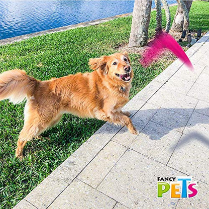 Fancy Pets Juguete Boomerang para Perro, Varios Colores