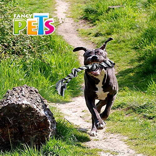 Fancypets Fancy Pets Juguete de Hilo con 3 Nudos para Perro Tamaño 56 Centímetros